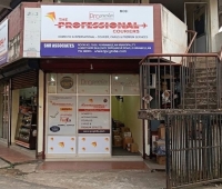 The Professional Couriers Kunnamkulam