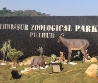 Thrissur Zoological Park Puthur